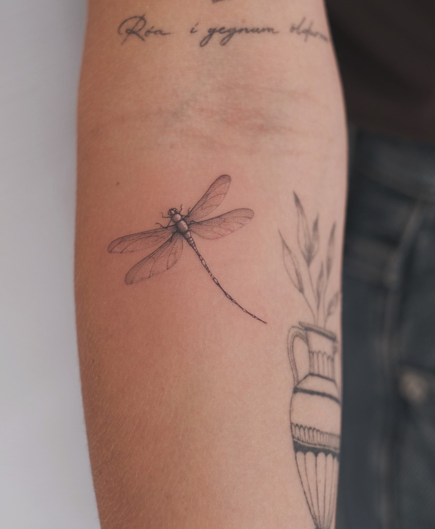 Fineline tattoo van een libelle en een fijn takje op de onderarm
