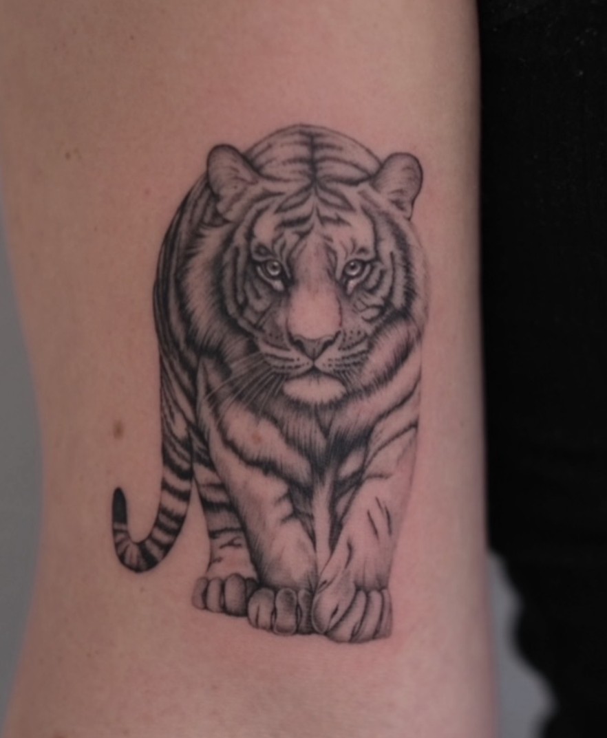 Minirealisme tattoo van een tijger op de onderarm