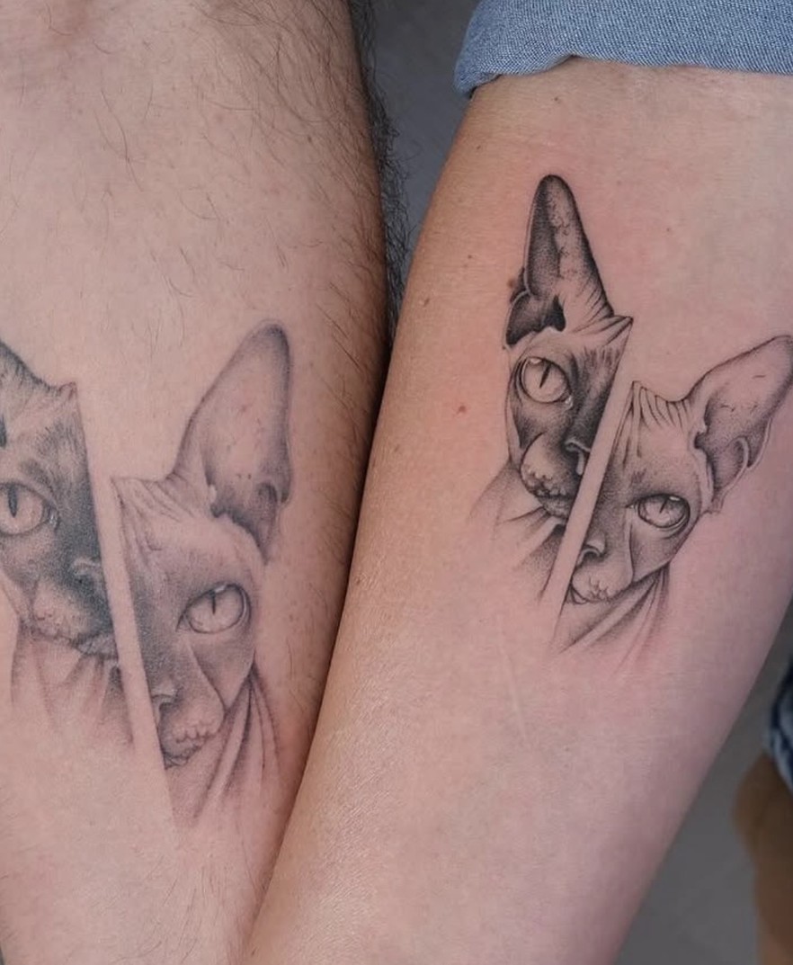 Minirealisme tattoo van sphynx-katten op twee onderarmen