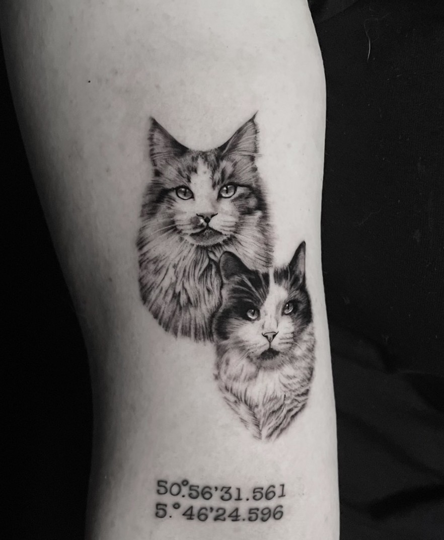 Minirealisme tattoo van twee katten met coordinaten op de arm